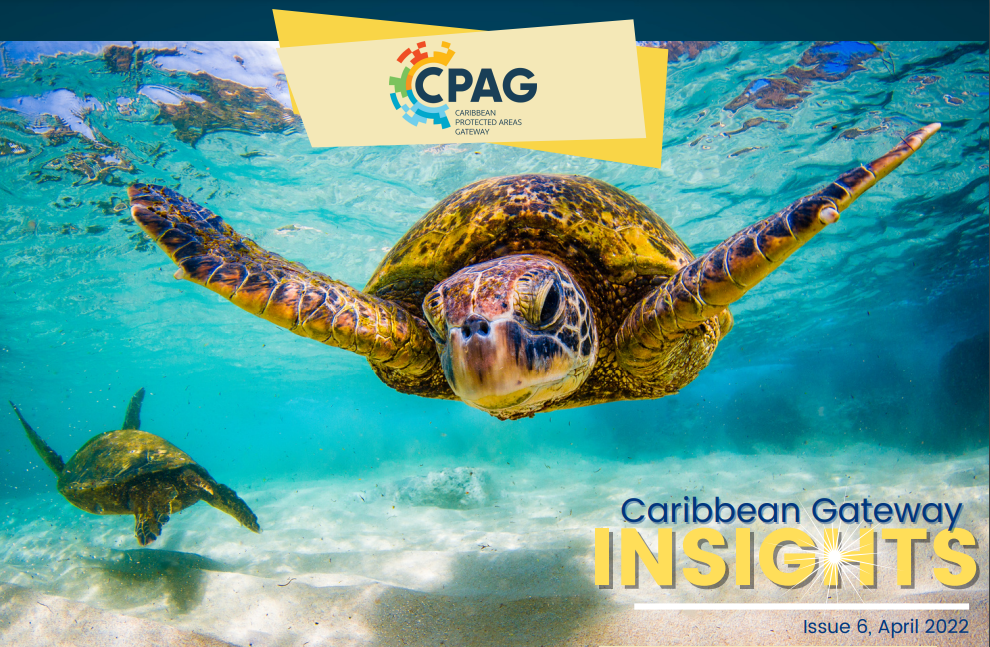 CPAG Newsletter Insights Issue 6
