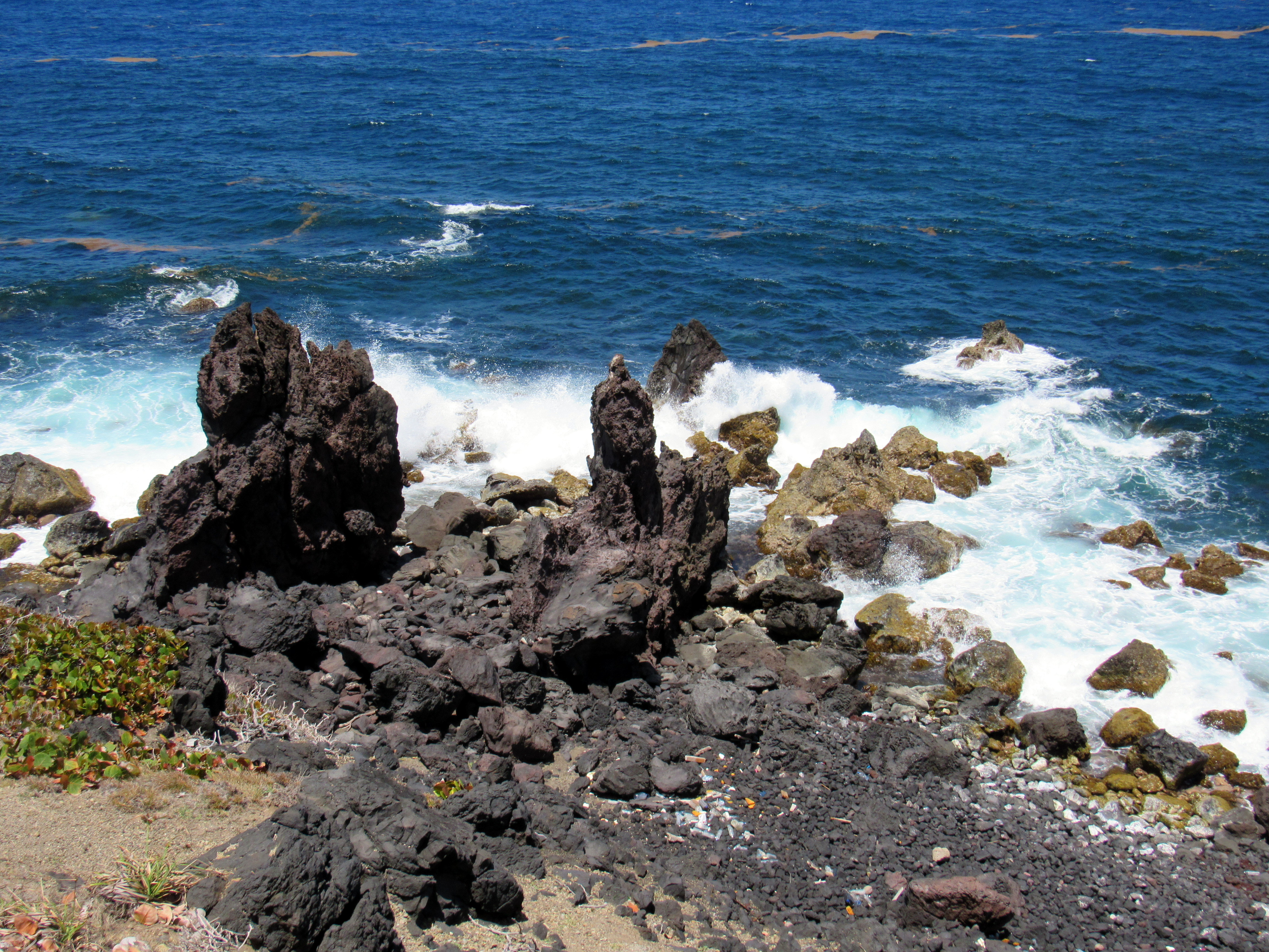 Marine Management Area (Black Rocks)