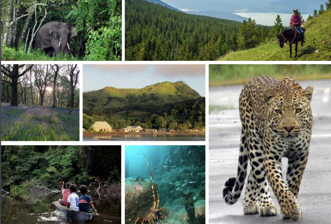 IUCN  area-based conservation measures report cover image 