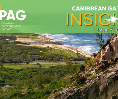 CPAG Newsletter Insights Issue 7